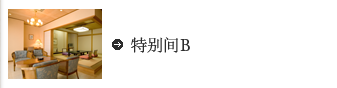 特别间B