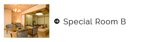 Special Room B