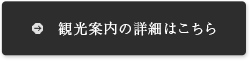 観光案内の詳細はこちら