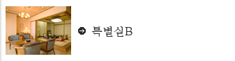 특별실B