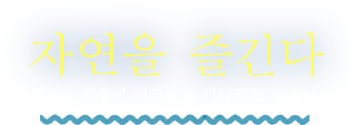 자연을 즐긴다. 다채로운 체험이 여러분을 기다리고 있습니다.