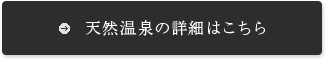 天然温泉の詳細はコチラ